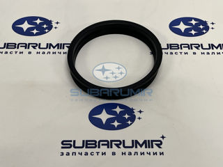 Фото автомобильной запчасти Прокладка бензобака B14 (оригинальный номер 42025YC000)