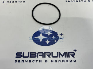 Фото автомобильной запчасти Уплотнитель шестерни распредвала низ (оригинальный номер 806969020)