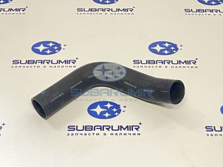 Фото автомобильной запчасти Патрубок радиатора нижний B14 2.5 (оригинальный номер 45161AJ100)