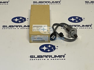 Фото автомобильной запчасти Лямдазонд первый B14 2,5 (оригинальный номер 22641AA540)