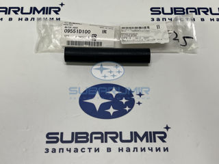 Фото автомобильной запчасти Патрубок охлаждения (оригинальный номер 09551D100)