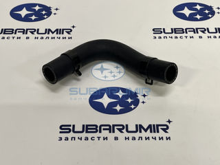 Фото автомобильной запчасти Патрубок (оригинальный номер 21204AB230)