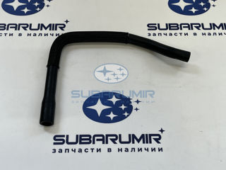 Фото автомобильной запчасти Патрубок (оригинальный номер 99071AD020)