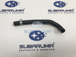 Фото автомобильной запчасти Патрубок (оригинальный номер 11815AC220)