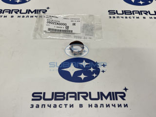 Фото автомобильной запчасти Втулка педали сцепления (оригинальный номер 36022AG000)