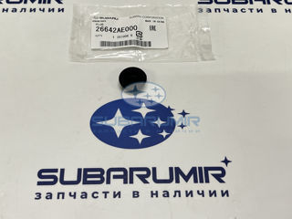 Фото автомобильной запчасти Заглушка диска тормозного заднего S12 (оригинальный номер 26642AE000)