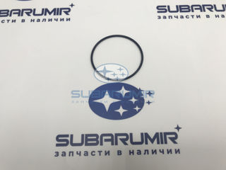 Фото автомобильной запчасти Кольцо (оригинальный номер 806959030)