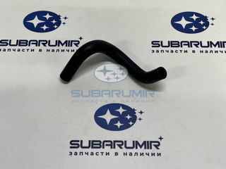 Фото автомобильной запчасти Патрубок. (оригинальный номер 99078AB490)