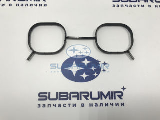 Фото автомобильной запчасти Прокладка впускного коллектора (оригинальный номер 14035AA570)