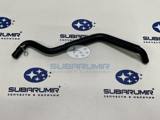 Фото автомобильной запчасти Патрубок. (оригинальный номер 11815AB581)