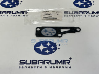 Фото автомобильной запчасти Прокладка клапанной крышки. Под сапун. (оригинальный номер 11832AA031)