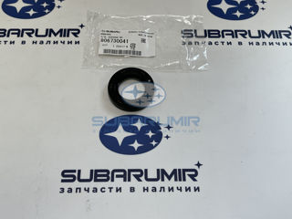 Фото автомобильной запчасти Сальник переднего дифференциала правый (оригинальный номер 806730041)