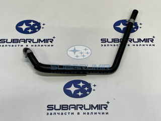 Фото автомобильной запчасти Патрубок. (оригинальный номер 11815AB490)