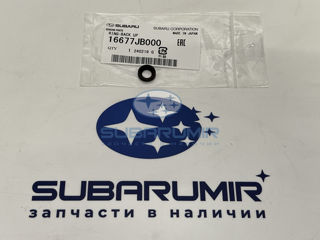 Фото автомобильной запчасти Кольцо топливной форсунки. (оригинальный номер 16677JB000)