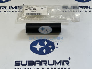 Фото автомобильной запчасти Шланг (оригинальный номер 807519050)