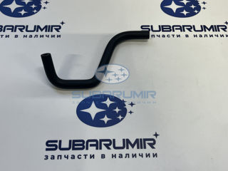 Фото автомобильной запчасти Патрубок. (оригинальный номер 99071AB780)