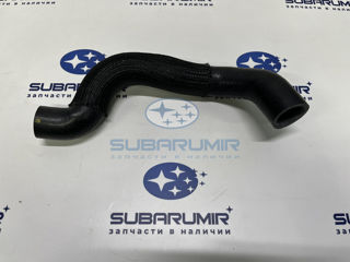 Фото автомобильной запчасти Патрубок вакуумный. (оригинальный номер 99081AA081)