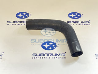 Фото автомобильной запчасти Патрубок радиатора нижний SK (оригинальный номер 45161SJ010)