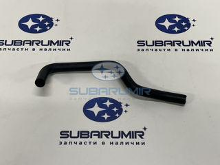 Фото автомобильной запчасти Патрубок (оригинальный номер 99071AD960)