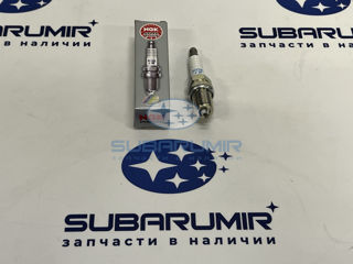 Фото автомобильной запчасти Свеча зажигания B14 253 (оригинальный номер SIFR6A11)